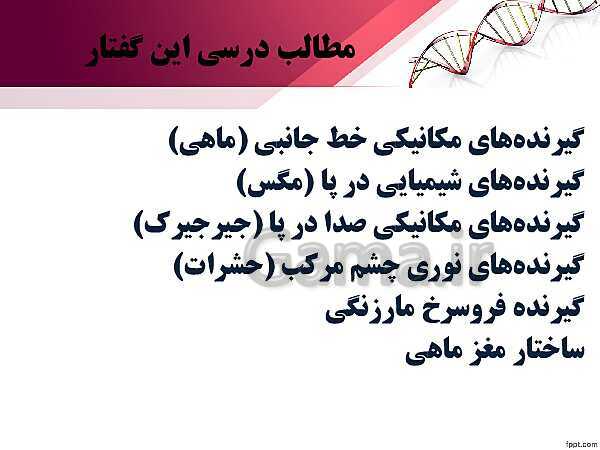 پاورپوینت تدریس زیست شناسی (2) یازدهم تجربی | فصل 2: حواس (گفتار 3: گیرنده های حسی جانوران)- پیش نمایش