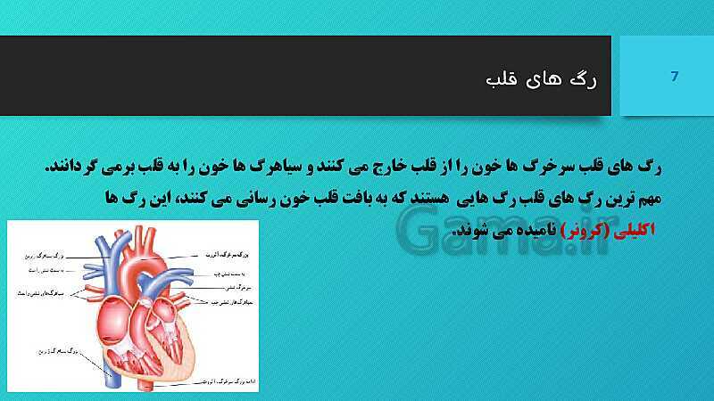 پاورپوینت کنفرانس علوم تجربی هفتم | فصل 14: گردش مواد- پیش نمایش