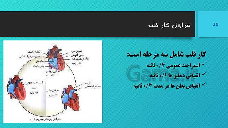 پاورپوینت کنفرانس علوم تجربی هفتم | فصل 14: گردش مواد- پیش نمایش