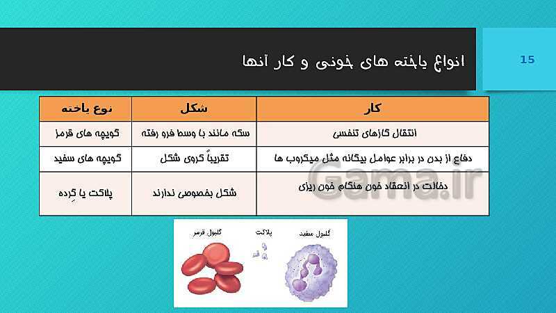 پاورپوینت کنفرانس علوم تجربی هفتم | فصل 14: گردش مواد- پیش نمایش