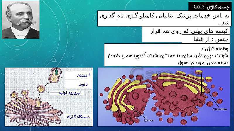 پاورپوینت فصل 11 علوم تجربی هفتم تیزهوشان | یاخته و سازمان بندی آن- پیش نمایش