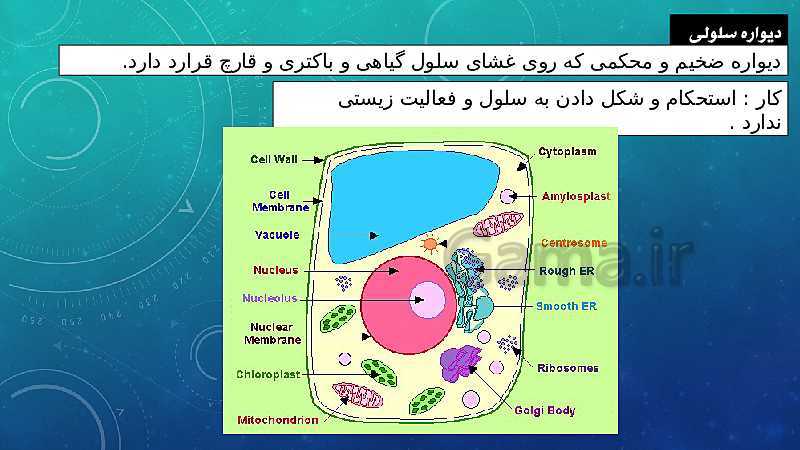 پاورپوینت فصل 11 علوم تجربی هفتم تیزهوشان | یاخته و سازمان بندی آن- پیش نمایش