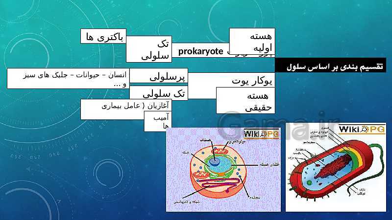 پاورپوینت فصل 11 علوم تجربی هفتم تیزهوشان | یاخته و سازمان بندی آن- پیش نمایش