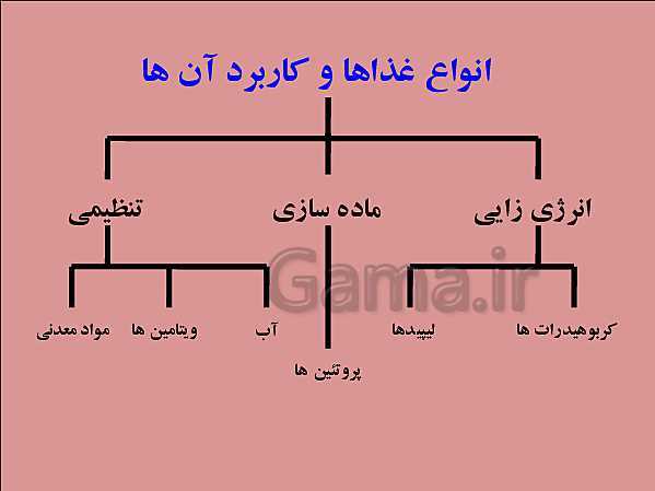 پاورپوینت تدریس علوم تجربی هفتم | فصل 12: سفره سلامت- پیش نمایش