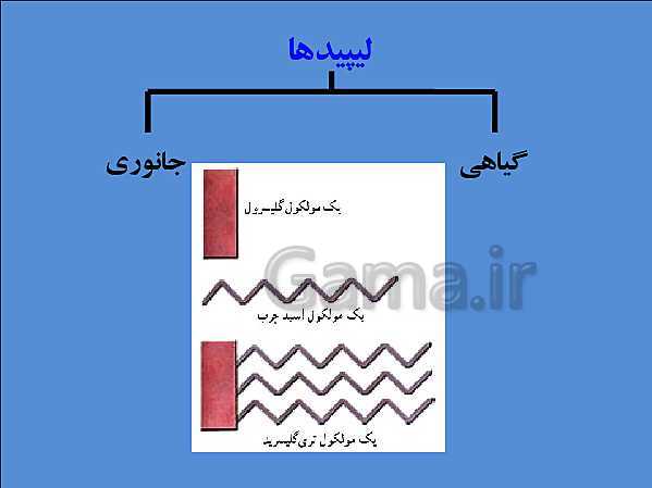 پاورپوینت تدریس علوم تجربی هفتم | فصل 12: سفره سلامت- پیش نمایش