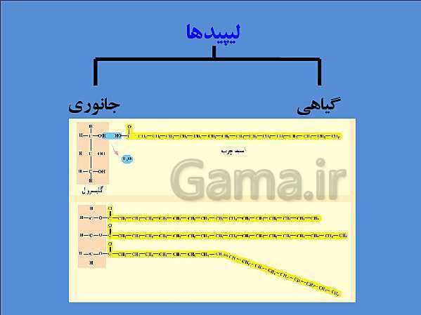 پاورپوینت تدریس علوم تجربی هفتم | فصل 12: سفره سلامت- پیش نمایش