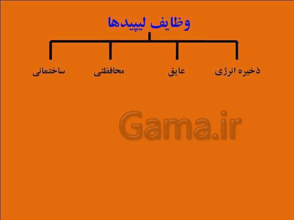 پاورپوینت تدریس علوم تجربی هفتم | فصل 12: سفره سلامت- پیش نمایش