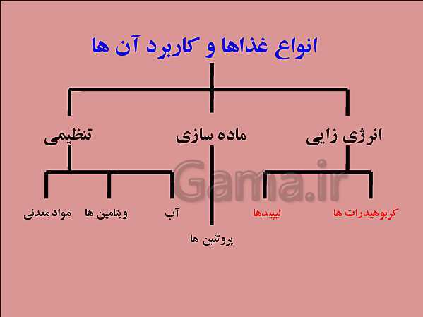 پاورپوینت تدریس علوم تجربی هفتم | فصل 12: سفره سلامت- پیش نمایش