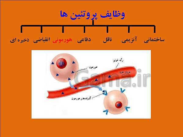 پاورپوینت تدریس علوم تجربی هفتم | فصل 12: سفره سلامت- پیش نمایش