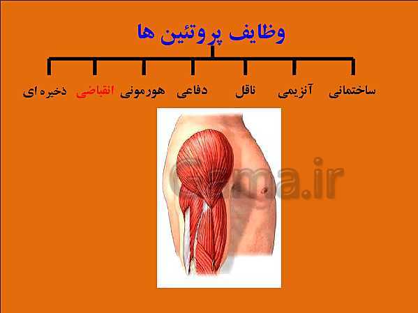 پاورپوینت تدریس علوم تجربی هفتم | فصل 12: سفره سلامت- پیش نمایش