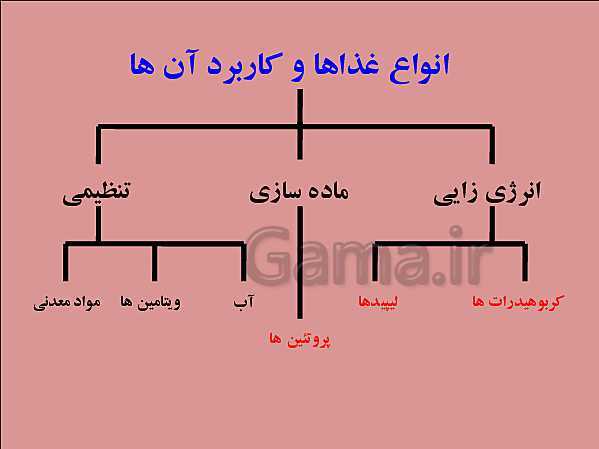 پاورپوینت تدریس علوم تجربی هفتم | فصل 12: سفره سلامت- پیش نمایش