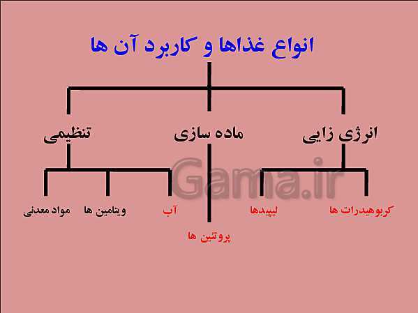 پاورپوینت تدریس علوم تجربی هفتم | فصل 12: سفره سلامت- پیش نمایش