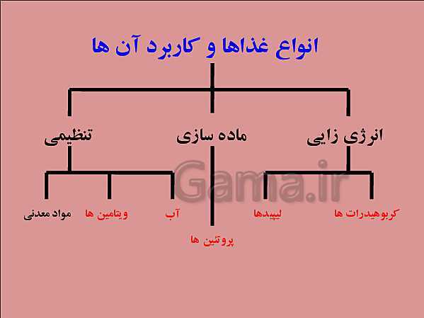 پاورپوینت تدریس علوم تجربی هفتم | فصل 12: سفره سلامت- پیش نمایش