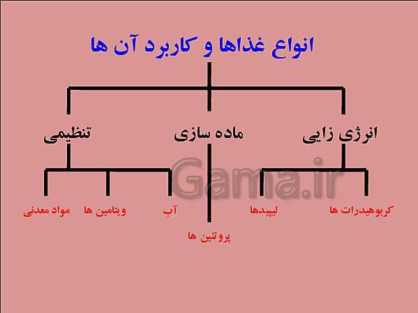 پاورپوینت تدریس علوم تجربی هفتم | فصل 12: سفره سلامت- پیش نمایش