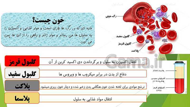 پاورپوینت آشنایی با دستگاه گردش خون و تاثیر آن در حیات انسان- پیش نمایش