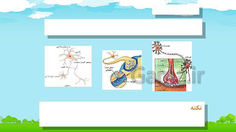 پاورپوینت علوم تجربی کلاس هشتم | فصل چهارم: تنظيم عصبي- پیش نمایش