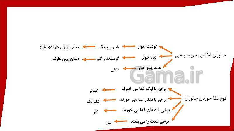 پاورپوینت طرح درس علوم تجربی اول دبستان | درس 4: دنیای جانوران- پیش نمایش