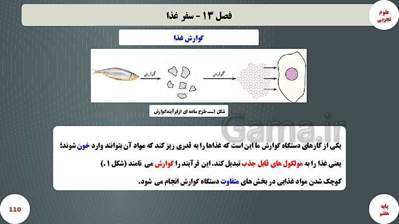 پاورپوینت آموزش مفهومی علوم تجربی هفتم | فصل 13: سفر غذا- پیش نمایش