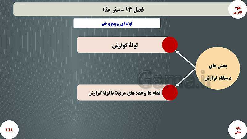 پاورپوینت آموزش مفهومی علوم تجربی هفتم | فصل 13: سفر غذا- پیش نمایش