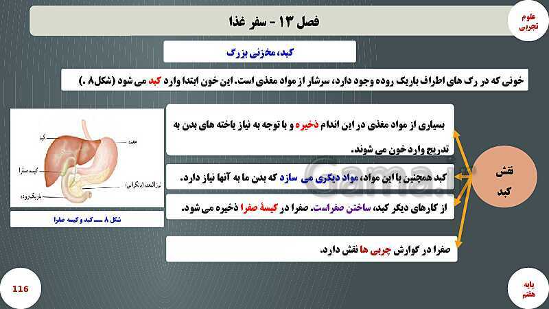 پاورپوینت آموزش مفهومی علوم تجربی هفتم | فصل 13: سفر غذا- پیش نمایش