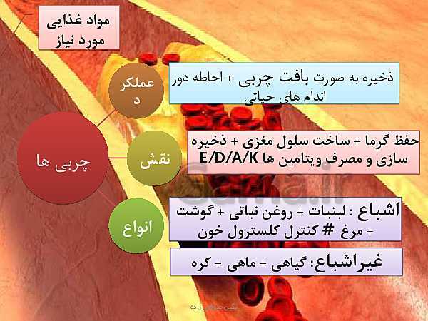 پاورپوینت تدریس با روش نقشه ذهنی سلامت و بهداشت | درس 3: برنامهٔ غذایی سالم- پیش نمایش